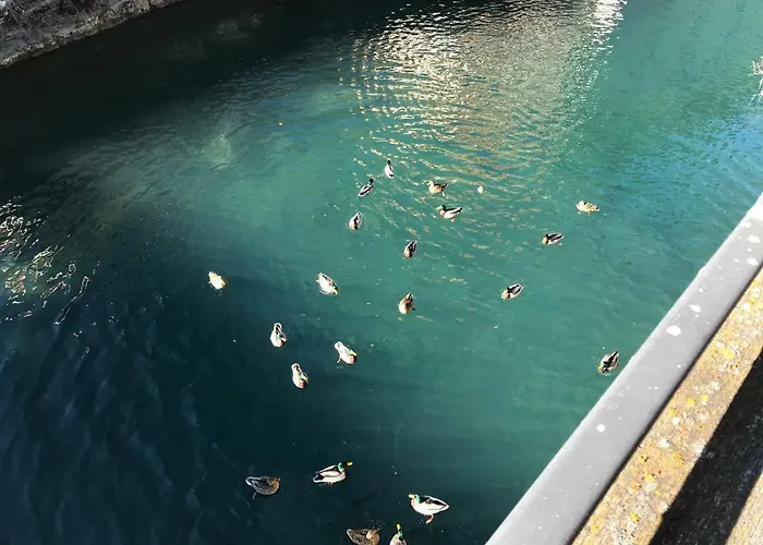 Location - Center - 130m Distance To Lift Parsenn Gotschnabahn And Railway Station Platz - Direct Connection To Davos Klosters-Serneus